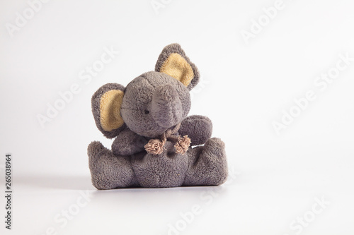 Funny cute grey gray plush elephant toy isolated on color background. Isolated, blue, red, white. Copy space for text.