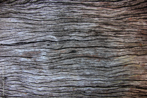 Old wooden for background or texture,Gray or black wood.Striped line wood.