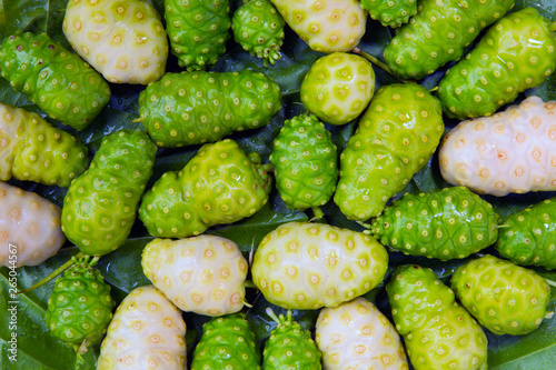 Noni Indian Mulberry fruit on Green leaf background.Beautiful layout.