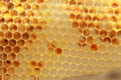 Honeycomb Pattern macro