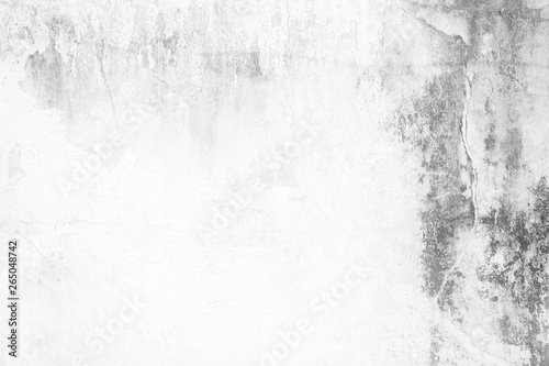 White Grunge Wall Texture Background. © mesamong