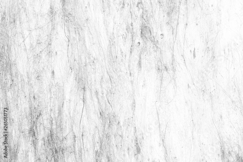 Close up White Peeling Wood Bark Texture Background.