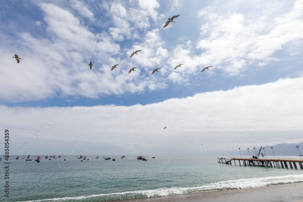Flock of birds crossing the sky at Taltal town coastline. An amazing natural scenery on a wild shore full of sea birds and sea life. A blue sky with clouds enrich this awe scene over the town pier Flock of birds crossing the sky at Taltal town coastline. An amazing natural scenery on a wild shore full of sea birds and sea life. A blue sky with clouds enrich this awe scene over the town pier
