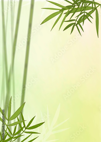 Bamboo leaf background