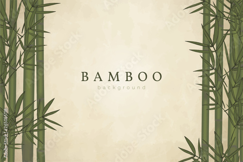 Bamboo tree background photo