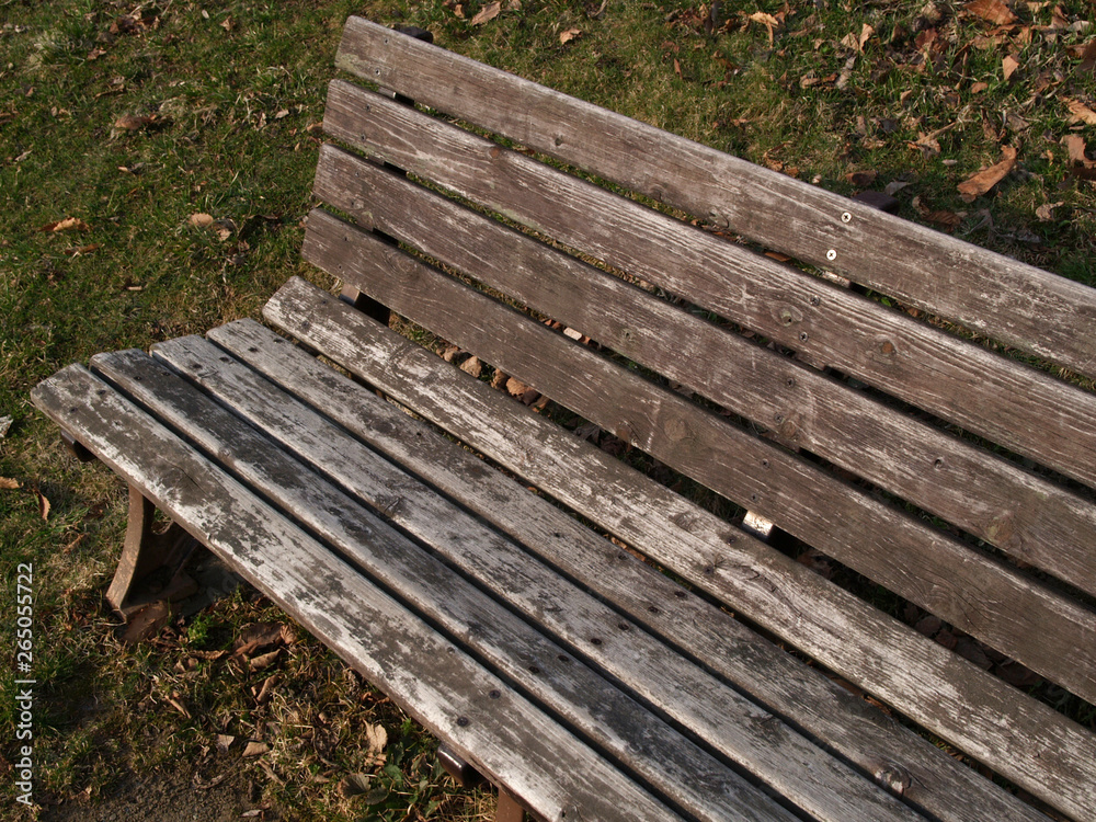 wooden bench in the park wooden bench in the park