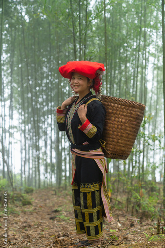 Portrait of Vietnamese ethnic minority Red Dao women in traditional dress and basket on back in misty bamboo forest in Lao Cai, Vietnam © Hanoi Photography