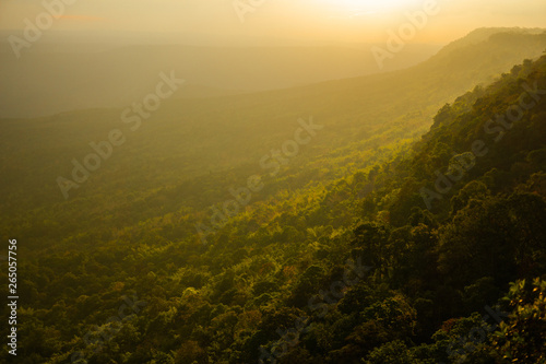 high viewpoint sunset in forest mountains. travel concept