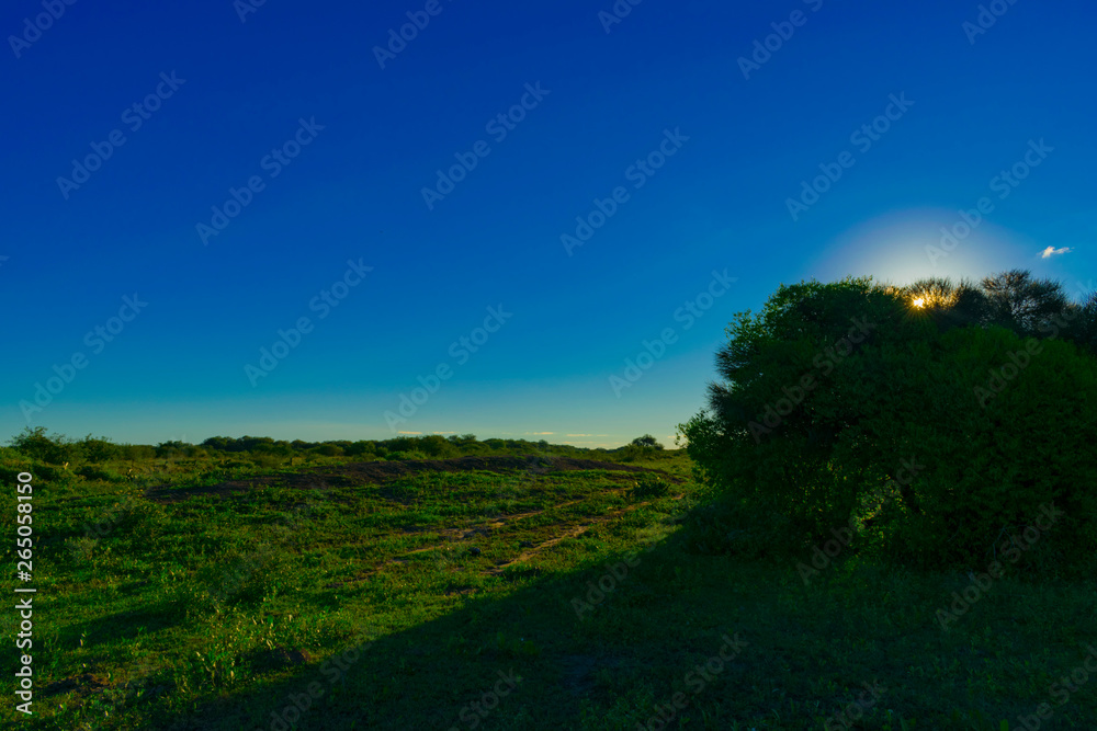Fototapeta premium Atardecer de Campo