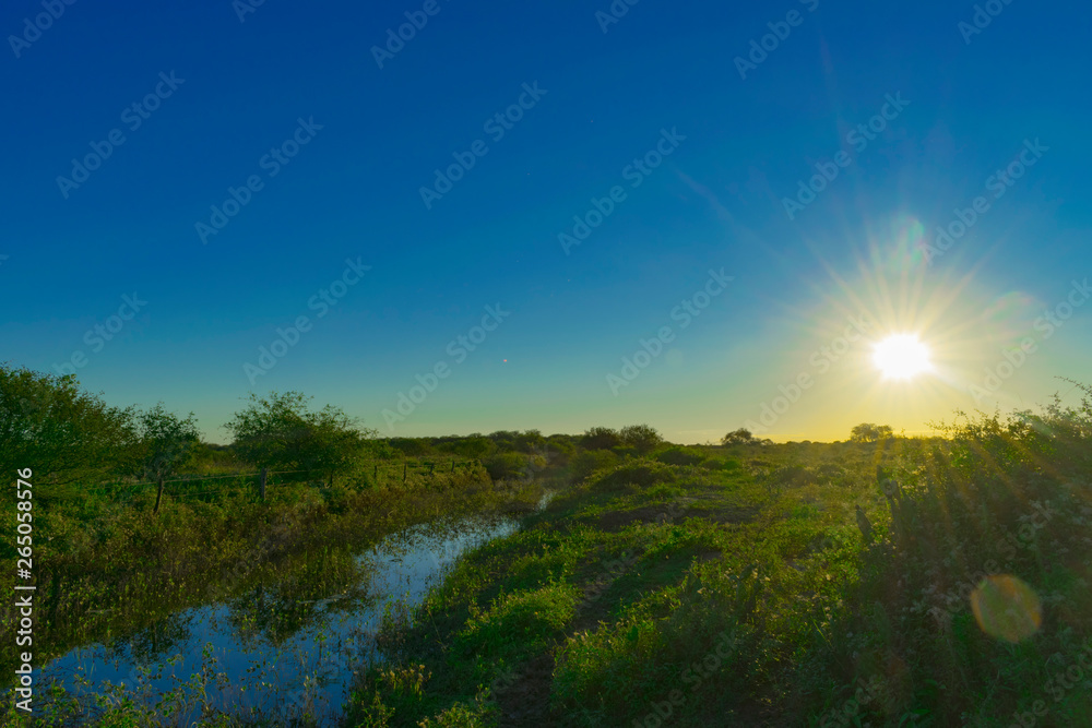 Obraz premium Atardecer de Campo