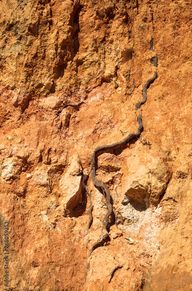 Obraz premium Fundo com terra amarela