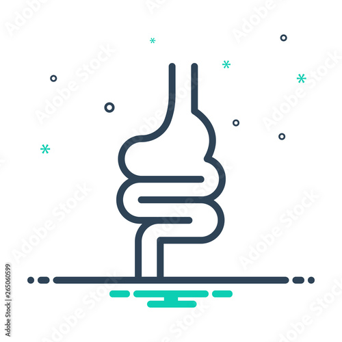 Mix line icon for intestine appendix