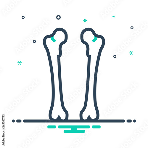 Mix line icon for femur bone