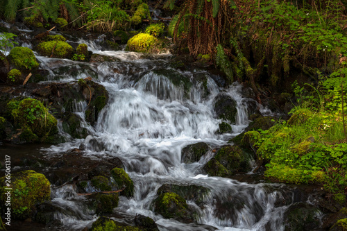 Waterfall In Forest