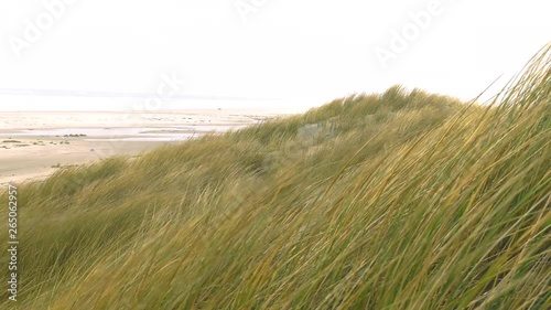 Serie of shots windy Winter holliday in the Netherlands on the Dutch Beach Island Terschelling. Wind is blowing over the dunes photo