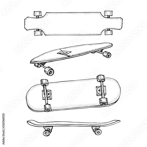 Set of skateboards isolated on white. Doodle Longboard, pennyboard. Hand drawn vector illustration.
