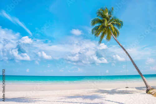 Fototapeta Naklejka Na Ścianę i Meble -  Paradise nature, palm trees on the tropical beach. Summer travel background