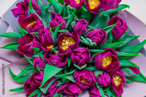 The close up of bright pink tulips flowers bouquet