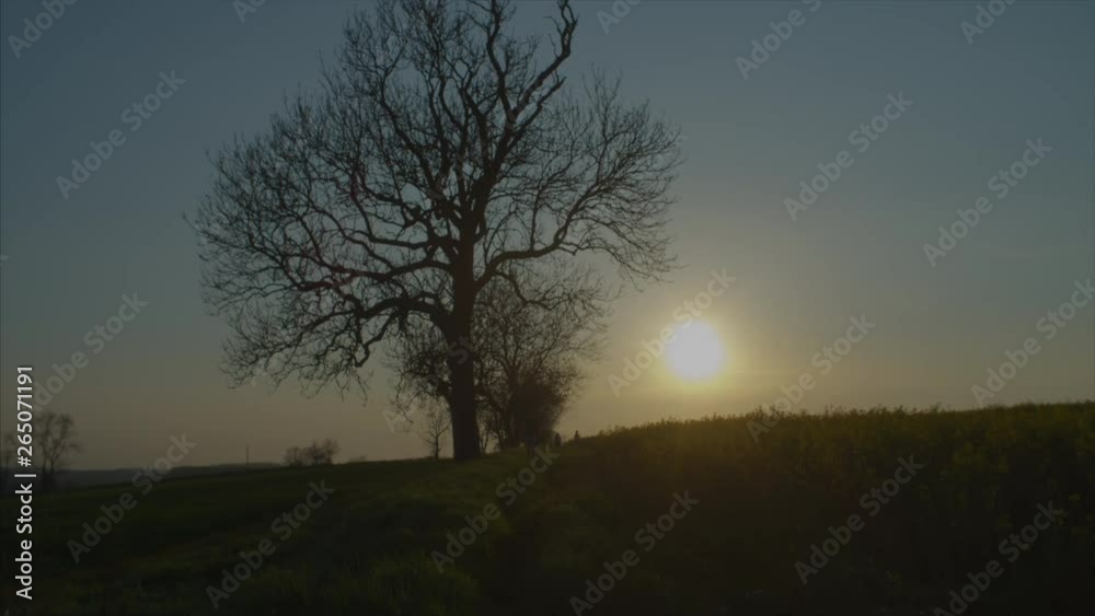 A path with people in the distance, hiking through a countryside field at sunset. A path with people in the distance, hiking through a countryside field at sunset.