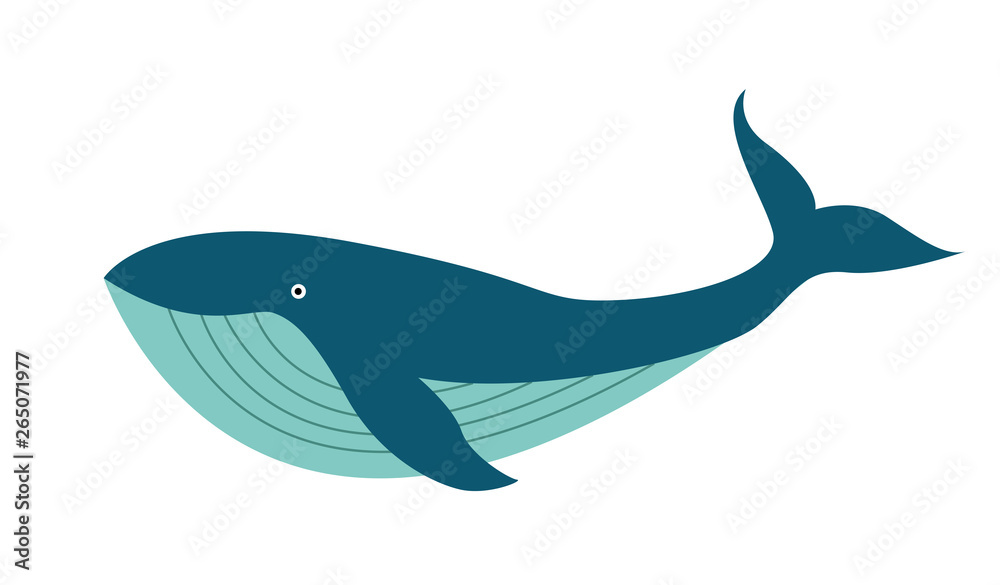 Illustration of cute cartoon whale Illustration of cute cartoon whale