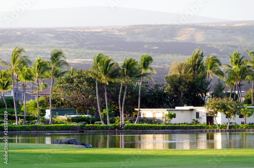 Golf field and lake near King plaza on Big Island
