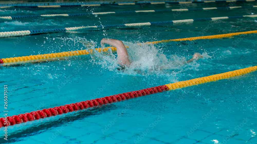 Crawl race in the Olympic pool