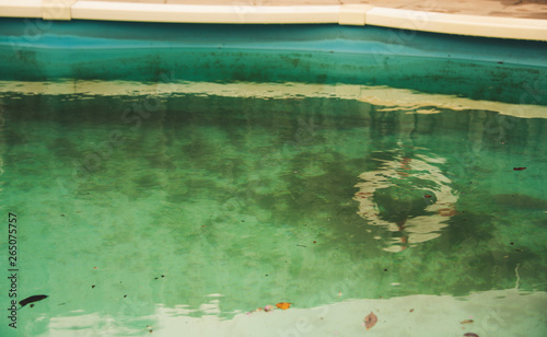Neglected swimming pool with green algae