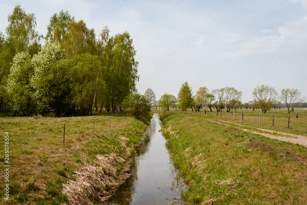 Krajobraz wiejski, Wiosna na Podlasiu, Podlaskie wierzby