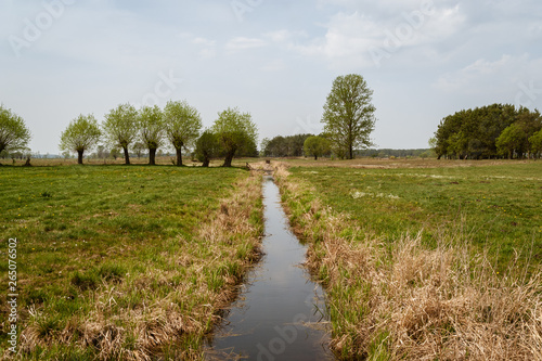 Krajobraz wiejski, Wiosna na Podlasiu, Podlaskie wierzby