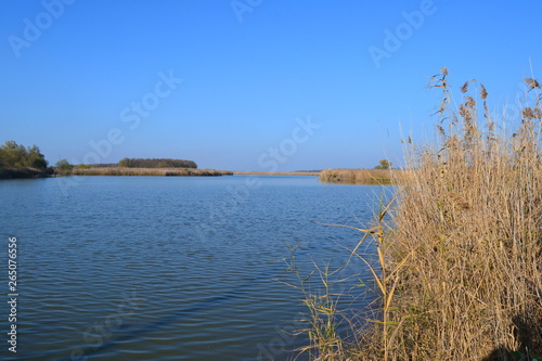 landscape with lake and blue sky