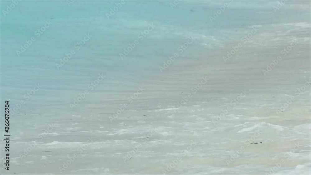 Secluded island. Paradise tropical island, white sand and clear water. Secluded island. Paradise tropical island, white sand and clear water.