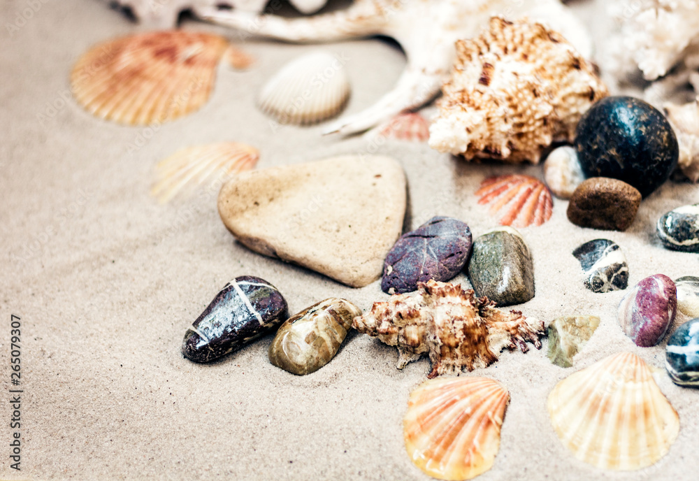Seashells and stones on the sand, summer beach background travel concept with copy space for text. Seashells and stones on the sand, summer beach background travel concept with copy space for text.