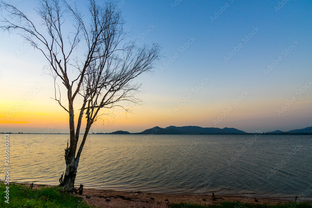 silhouette of tree  at reservoir Bang Phra, Sriracha, Chonburi, Thailand, in sunset