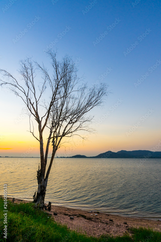 silhouette of tree at reservoir Bang Phra, Sriracha, Chonburi, Thailand, in sunset silhouette of tree at reservoir Bang Phra, Sriracha, Chonburi, Thailand, in sunset
