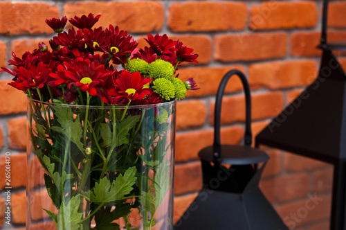 Fototapeta Naklejka Na Ścianę i Meble -  Glass vase with home decor red spring flowers. Oxeye daisies.