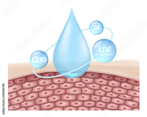 Skin nourishing formulas both inside and outside contain Q10 to prevent UV radiation from the sun. And skin care 24 hours a day. Used with cream serum lotion as an illustration of skin care products.