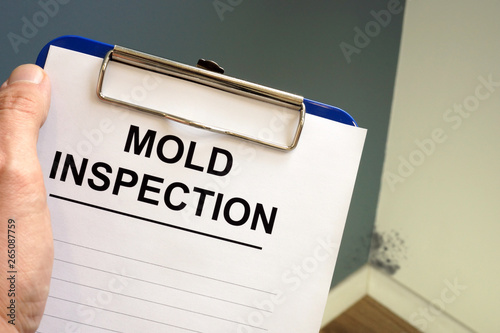 Documents about mold inspection with clipboard. photo