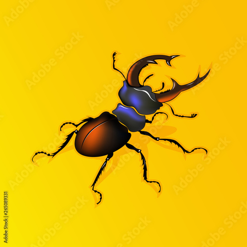 Deer bug