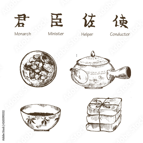 Chinese tea ink pen sketch on white background. Chinese medical tea kettle, plant and herbs. Vector illustration for traditional easten pharmacy and tea party photo