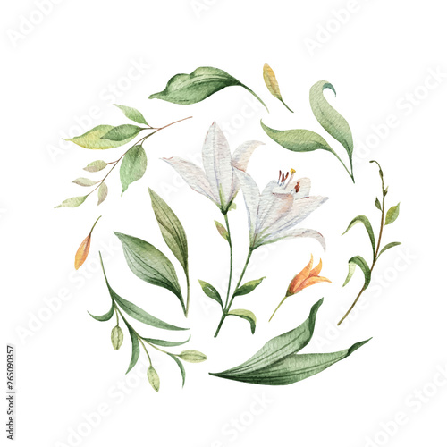Watercolor vector arrangement of Lily flowers and green leaves.