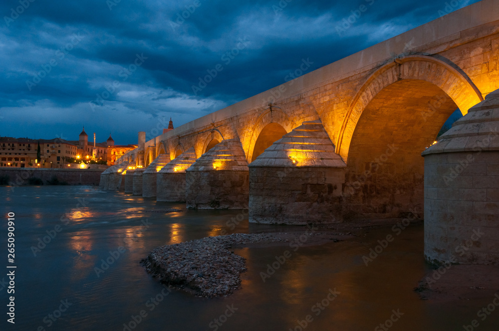 Roman Bridge of Cordoba at night, Spain