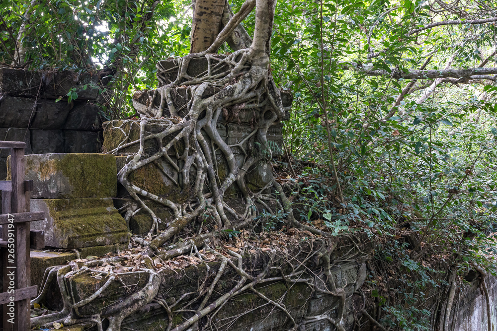 Fototapeta premium Ruins of ancient Beng Mealea Temple over jungle, Cambodia.