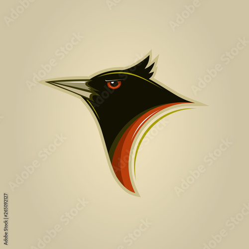 Agressive small bird