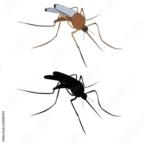 vector, isolated, insect mosquito brown, with silhouette