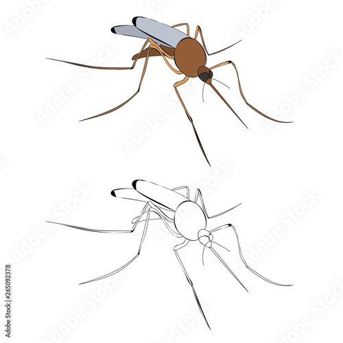 vector, isolated, insect mosquito brown, with silhouette