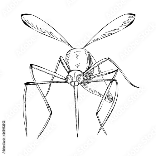 sketch of a mosquito flying