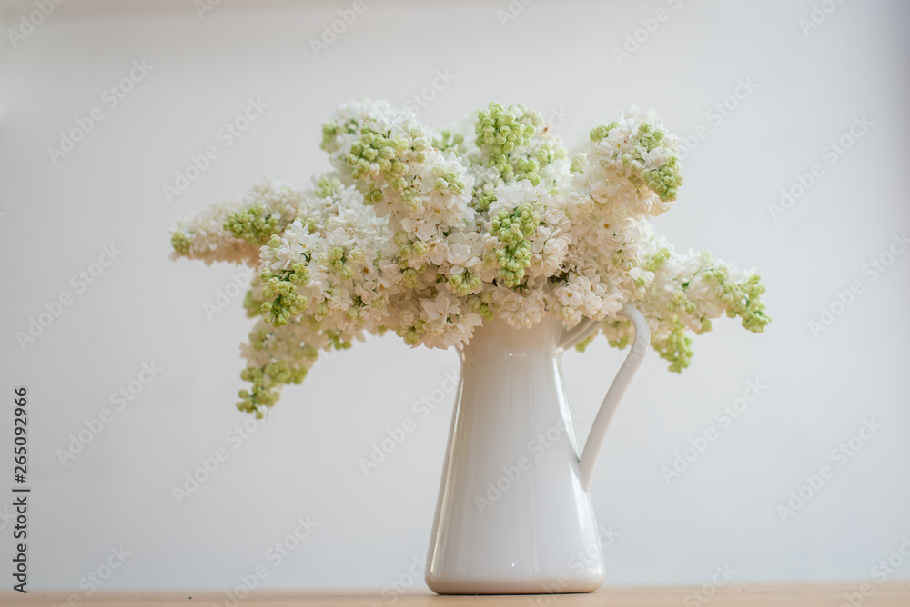 Syringa vulgaris, Lilac Syringa vulgaris, Lilac