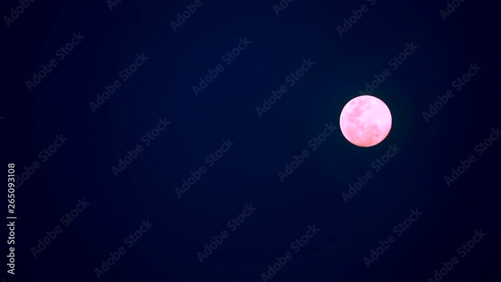 pink moon floating on night sky background pink moon floating on night sky background