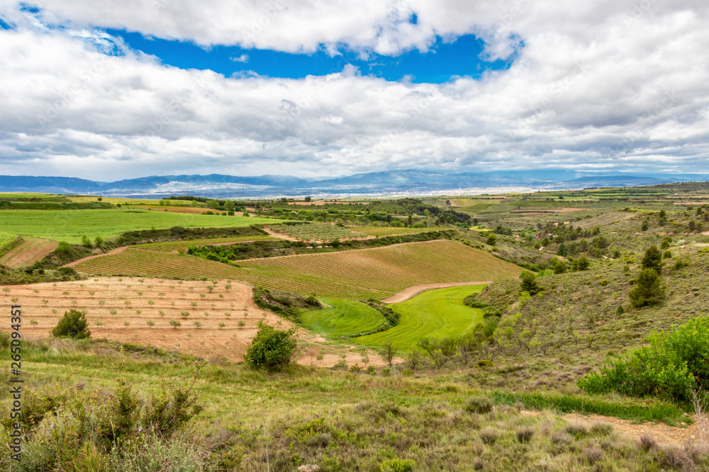 Fototapeta premium Scenic elevated May agricultural landscape on the Camino de Santiago, Way of St. James between Torres del Rio and Viana in Navarre, Spain