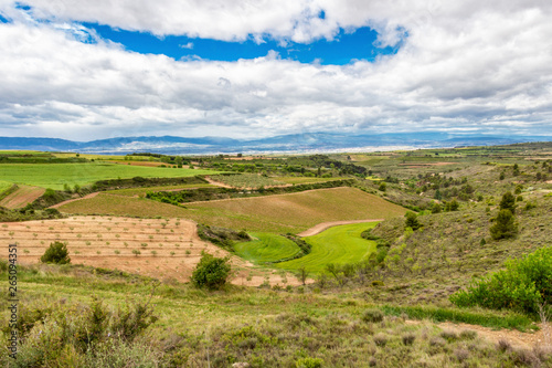 Scenic elevated May agricultural landscape on the Camino de Santiago, Way of St. James between Torres del Rio and Viana in Navarre, Spain